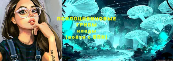 метадон Алексеевка
