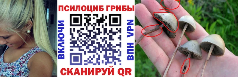 Галлюциногенные грибы Cubensis  где продают наркотики  Ликино-Дулёво 